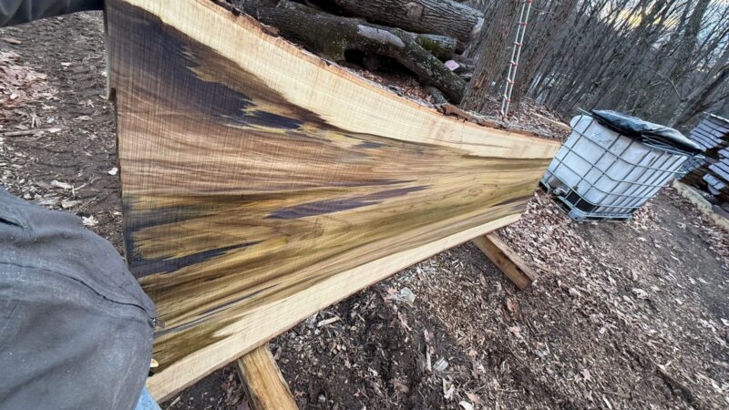 Poplar Live Edge Slab #02 — 122" × 54"