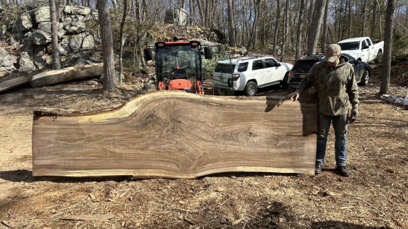 BLACK WALNUT LIVE EDGE SLAB #04 — 147" × 44"