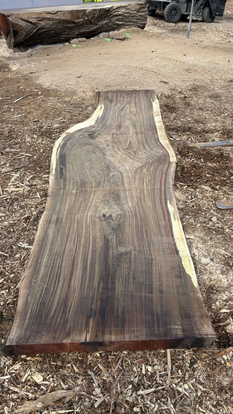 BLACK WALNUT LIVE EDGE SLAB #07 — 147" × 45"