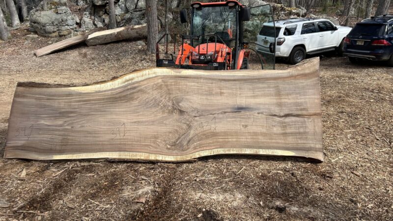 BLACK WALNUT LIVE EDGE SLAB #05 — 147" × 46"