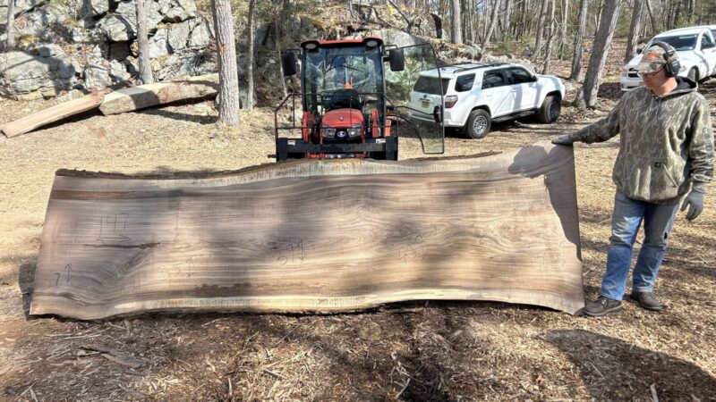 BLACK WALNUT LIVE EDGE SLAB #06 — 147" × 50"