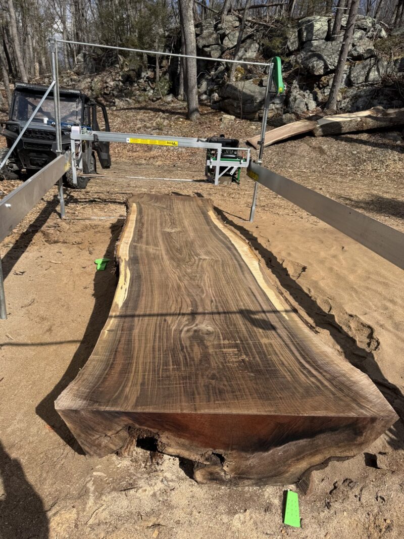 BLACK WALNUT LIVE EDGE SLAB #09 — 147" × 51"