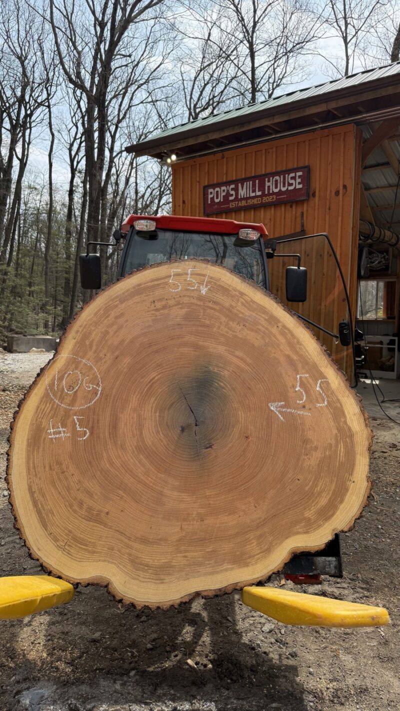 White Oak Cookie — 55" × 55" round