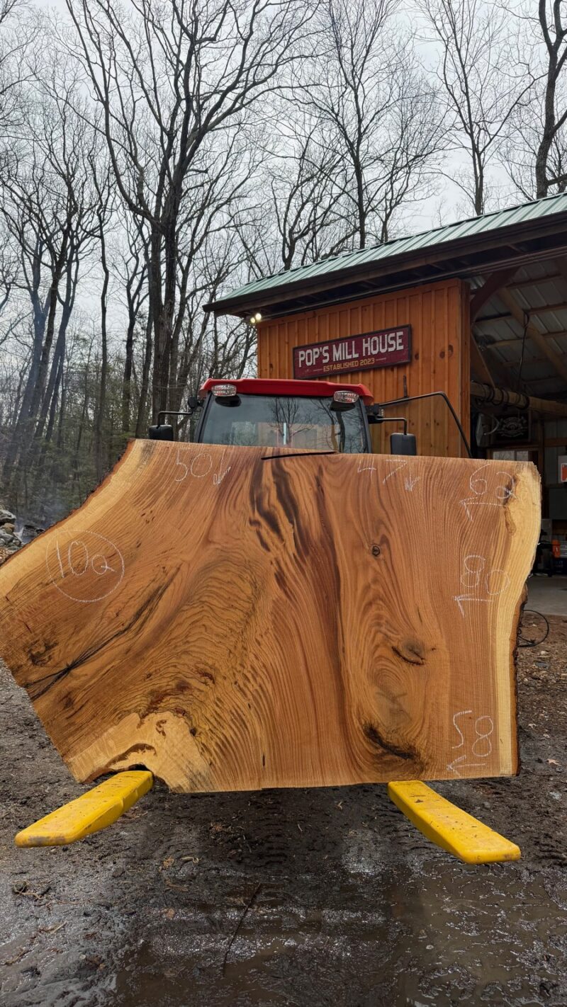 WHITE OAK LIVE EDGE SLAB #04 — 80" × 47"