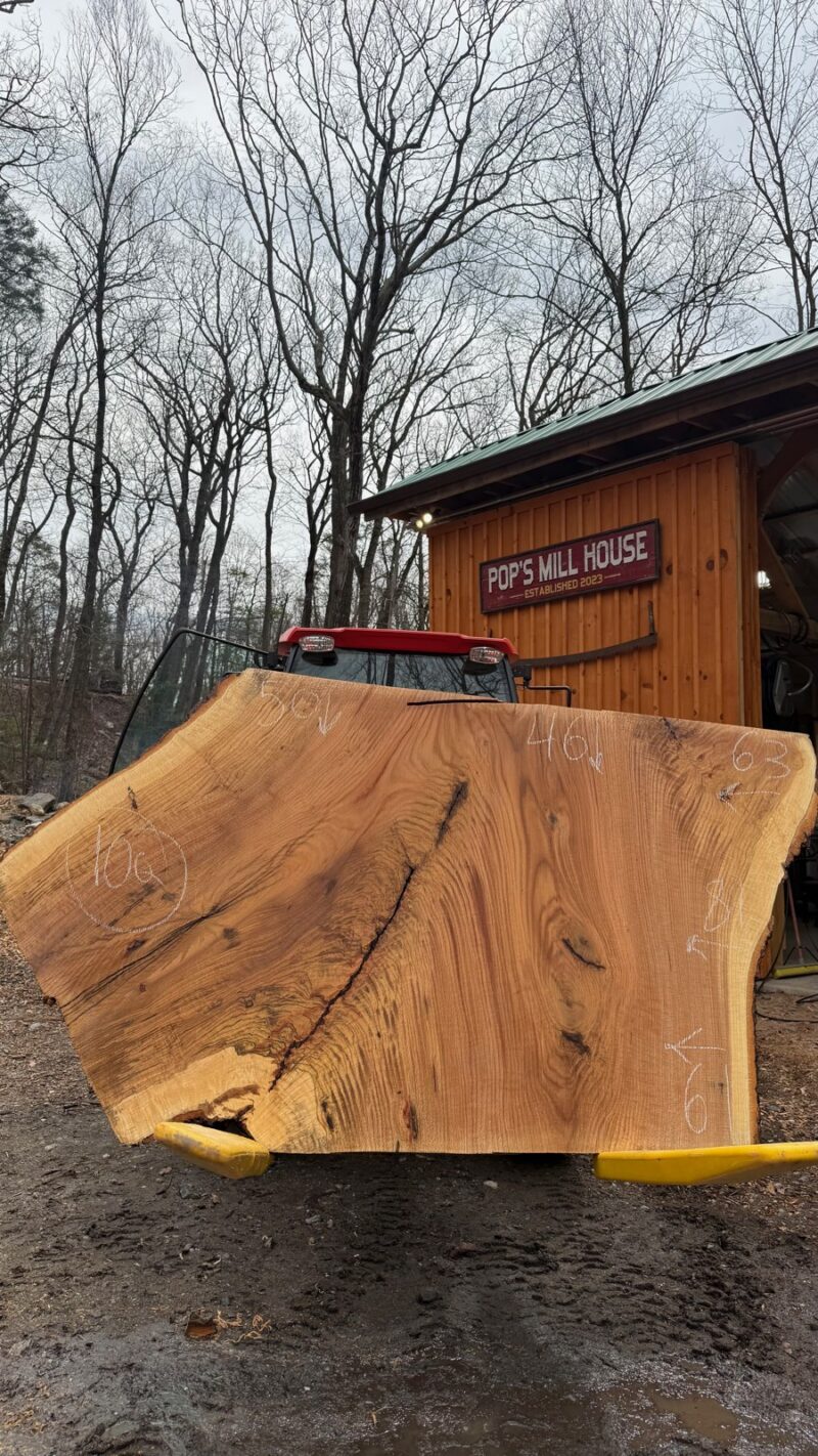 WHITE OAK LIVE EDGE SLAB #05 — 81" × 50"
