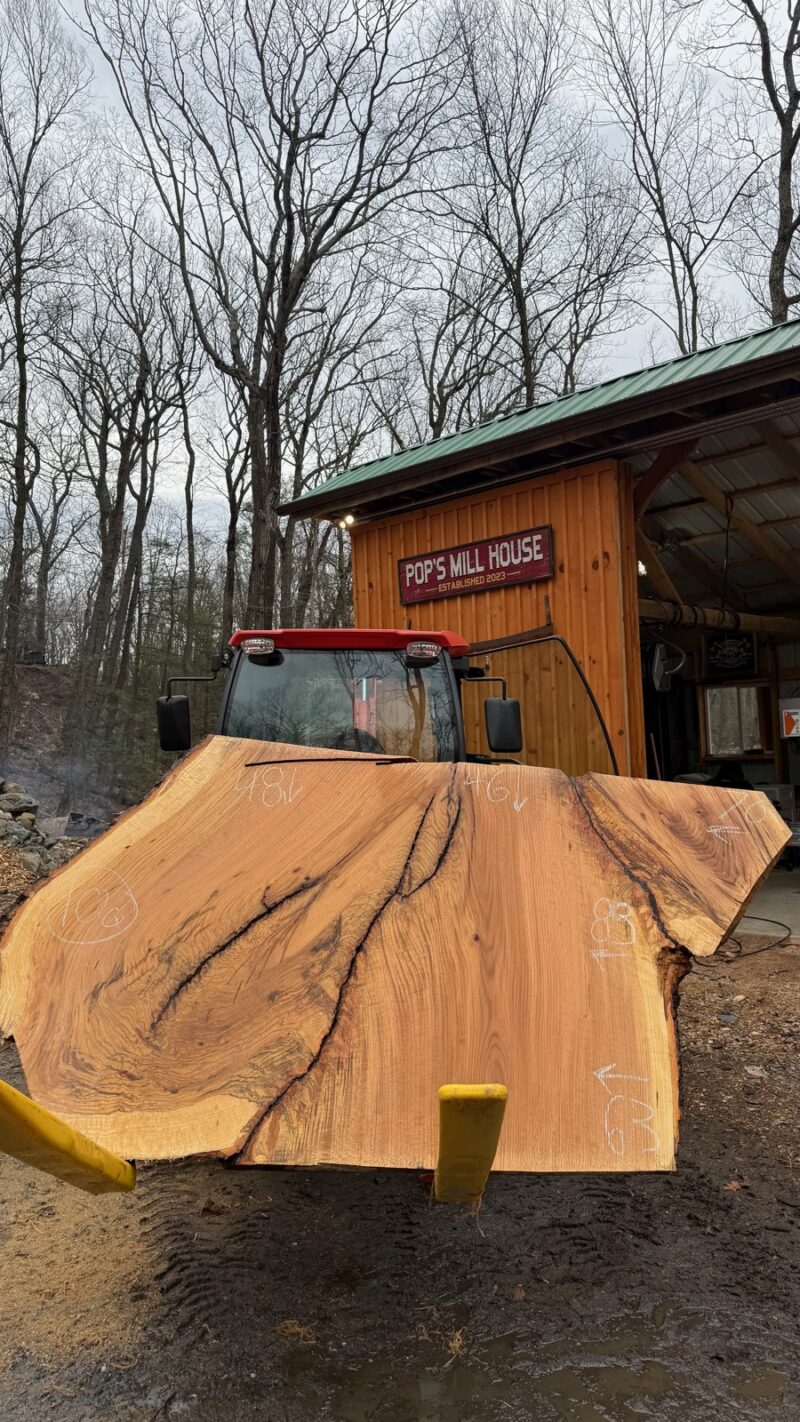 WHITE OAK LIVE EDGE SLAB #07 — 83" × 48"