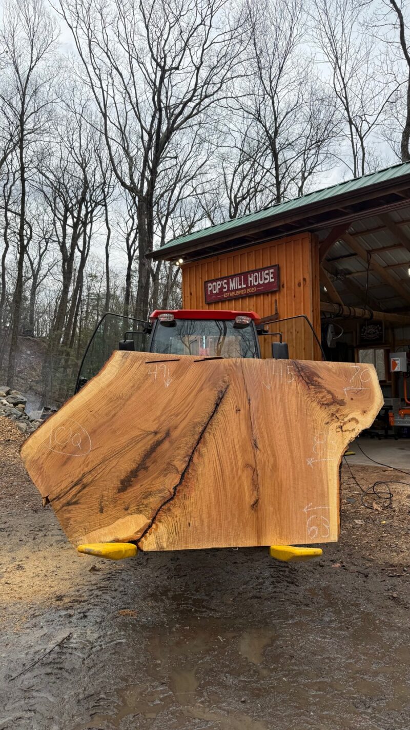 WHITE OAK LIVE EDGE SLAB #06 — 83" × 49"