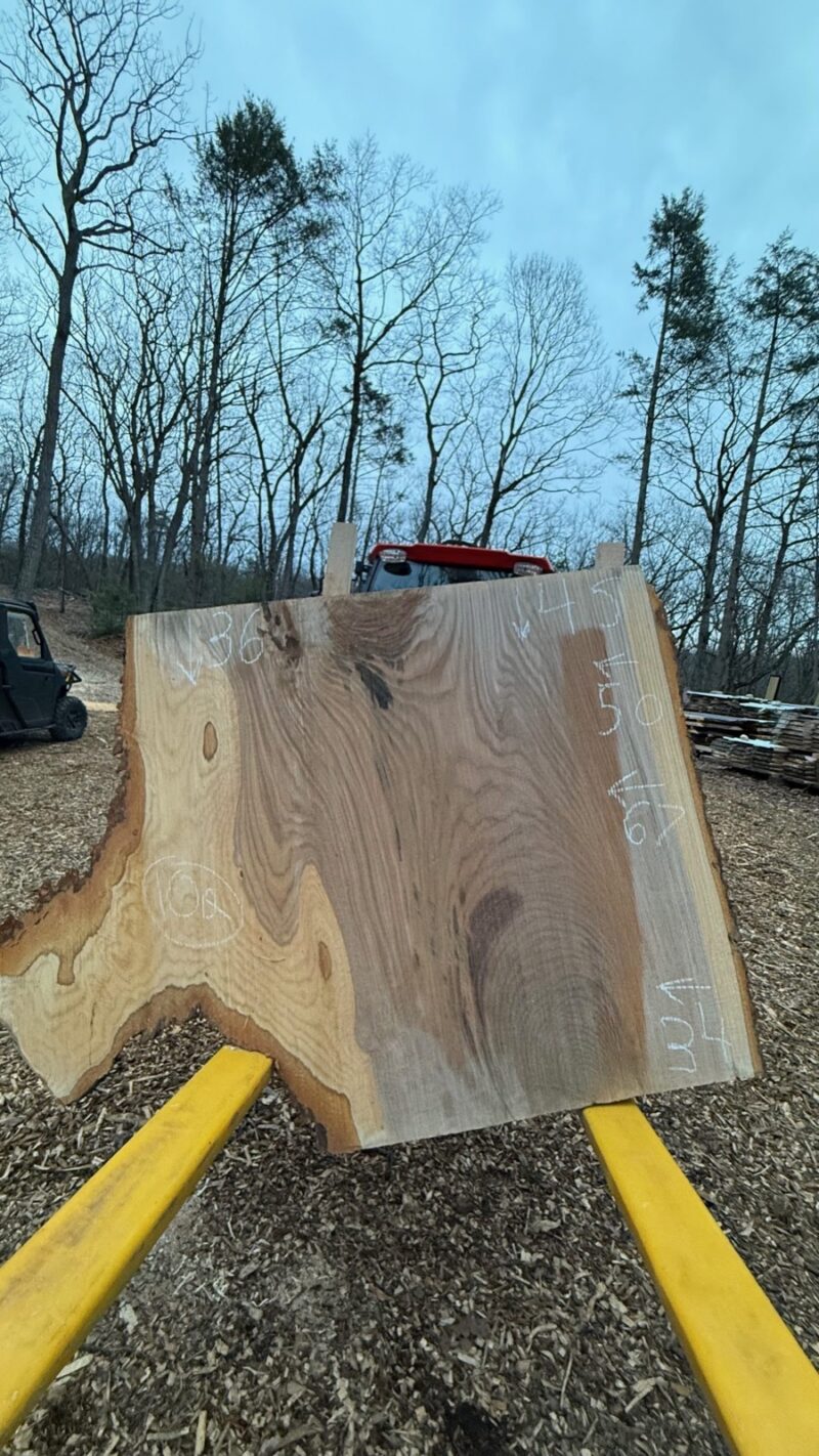 White Oak Live Edge Slab #10 — 96" × 49"