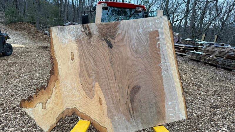 White Oak Live Edge Slab #09 — 96" × 55"