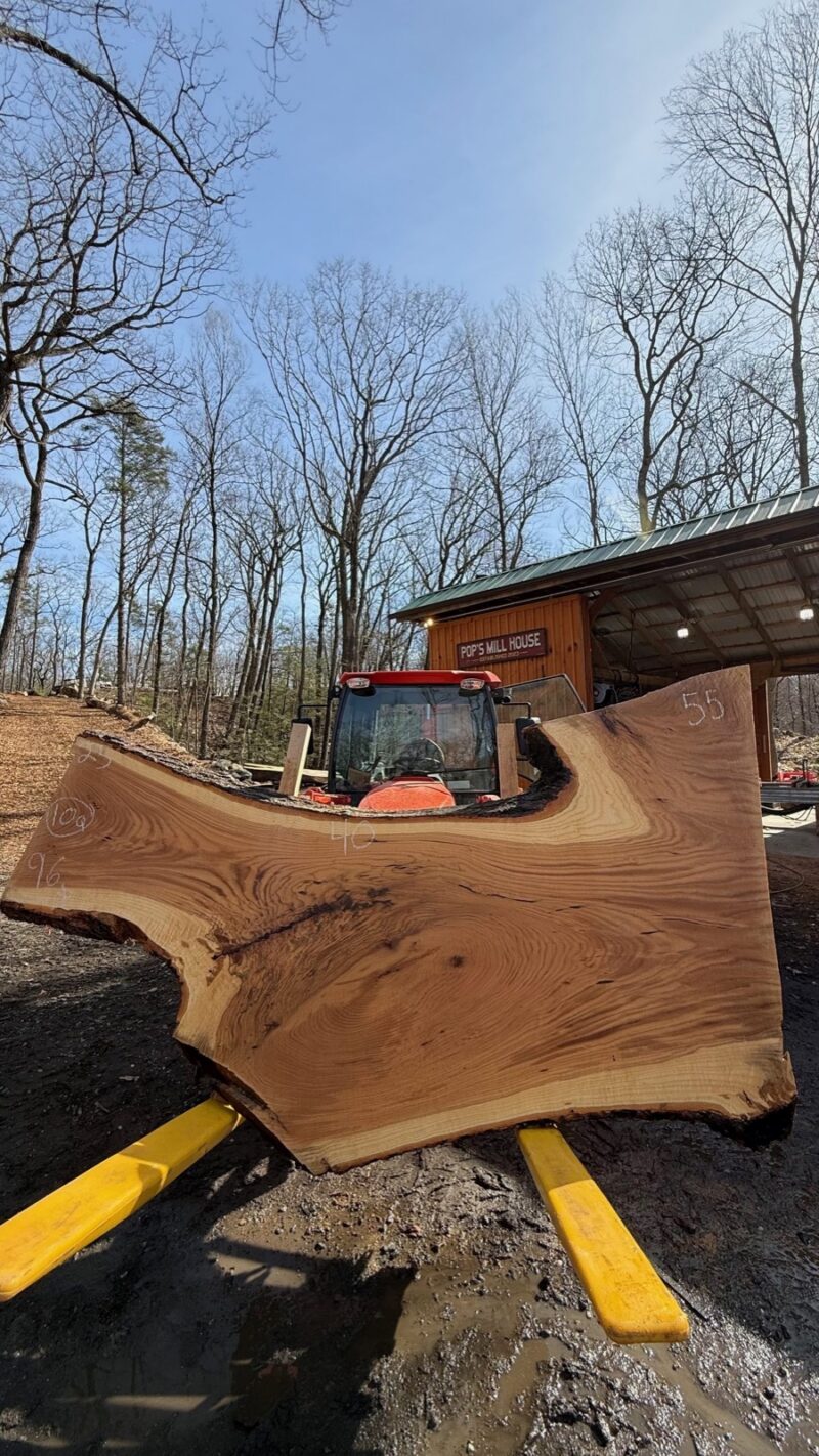 White Oak Live Edge Slab #07 — 96" × 62"