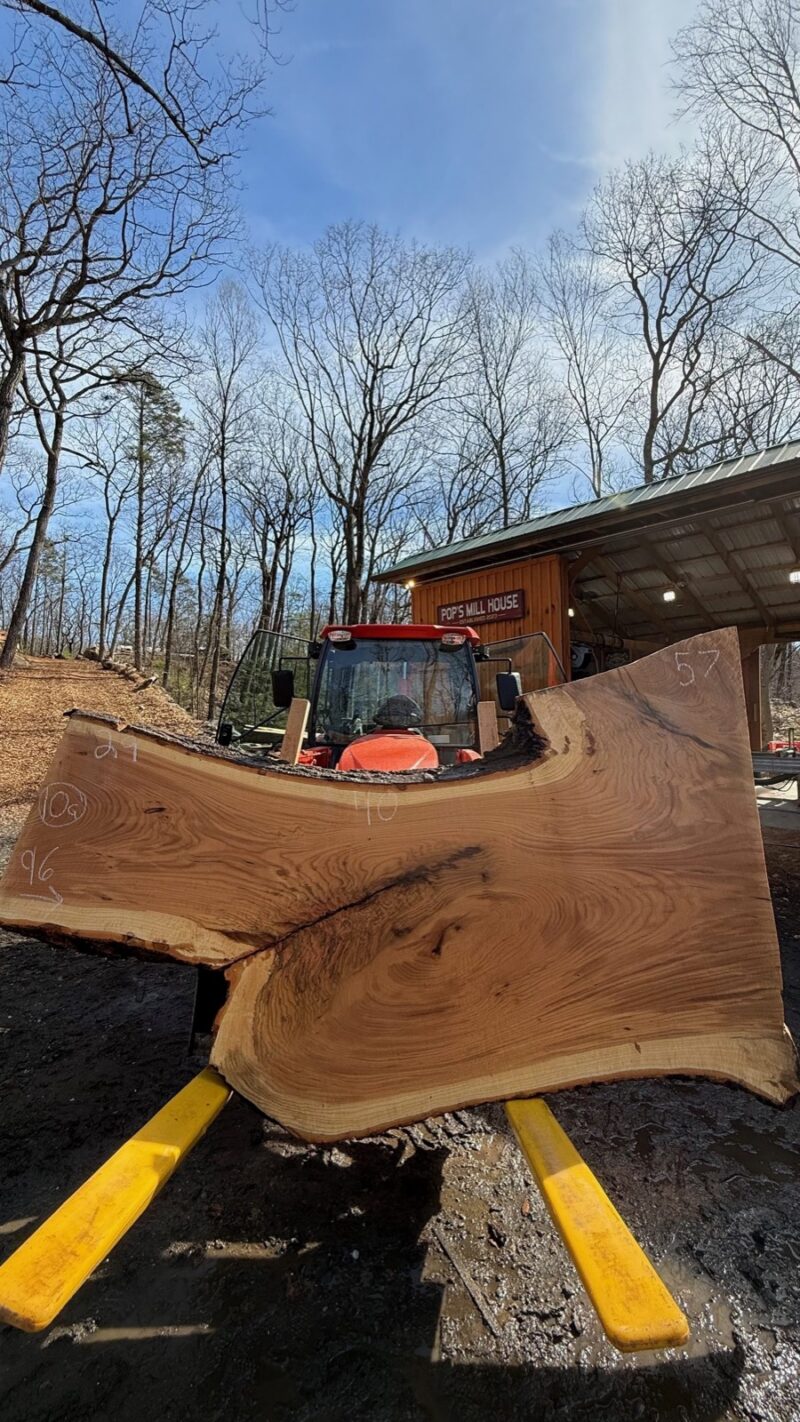 White Oak Live Edge Slab #05 — 96" × 61"
