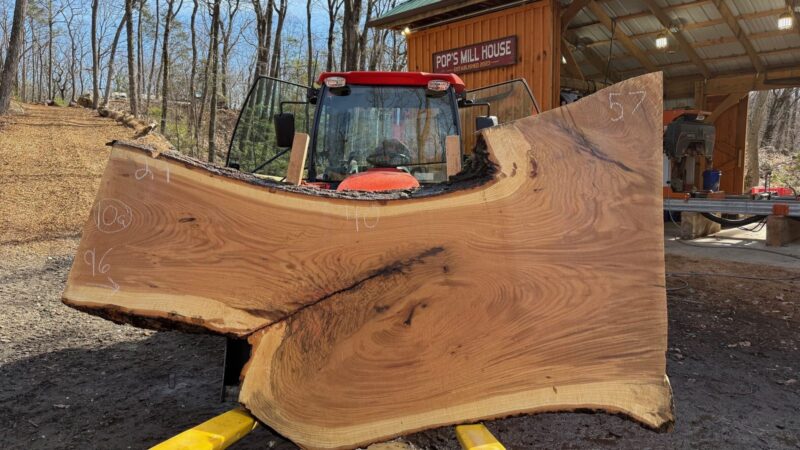 White Oak Live Edge Slab #04 — 96" × 63"
