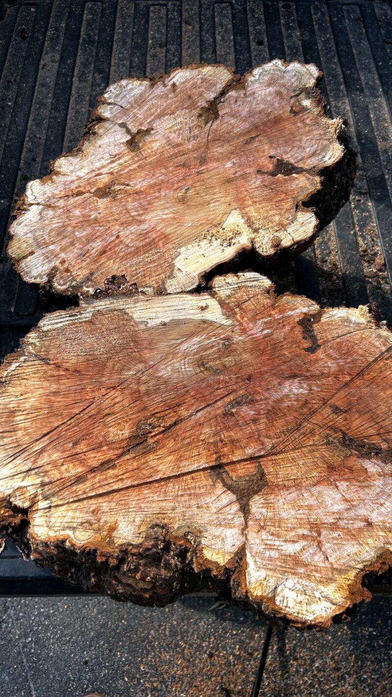 Burl Slabs