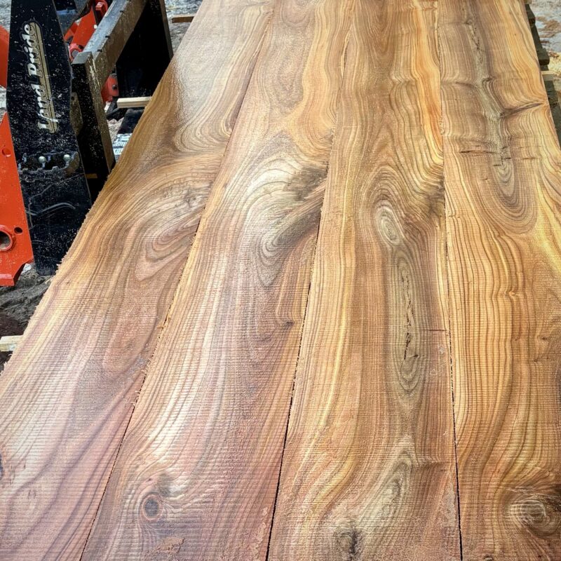 Red Elm Lumber — Kiln-Dried, Rough-Sawn