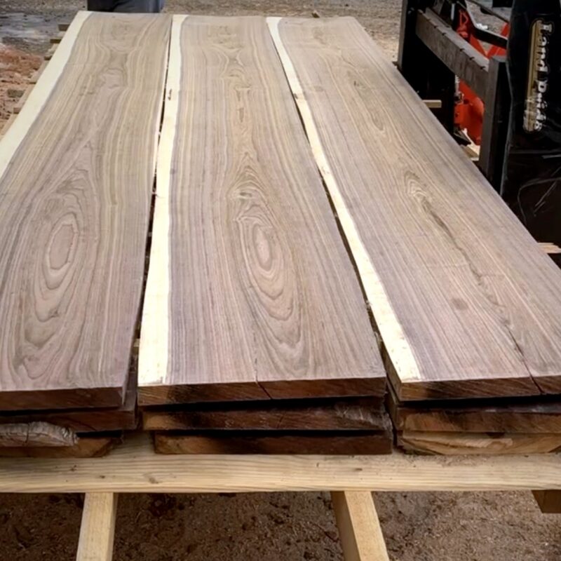 Black Walnut Lumber — Kiln-Dried, Rough-Sawn