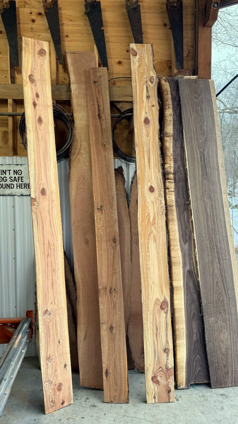 Shorts & Cut-offs — Mixed Hardwood