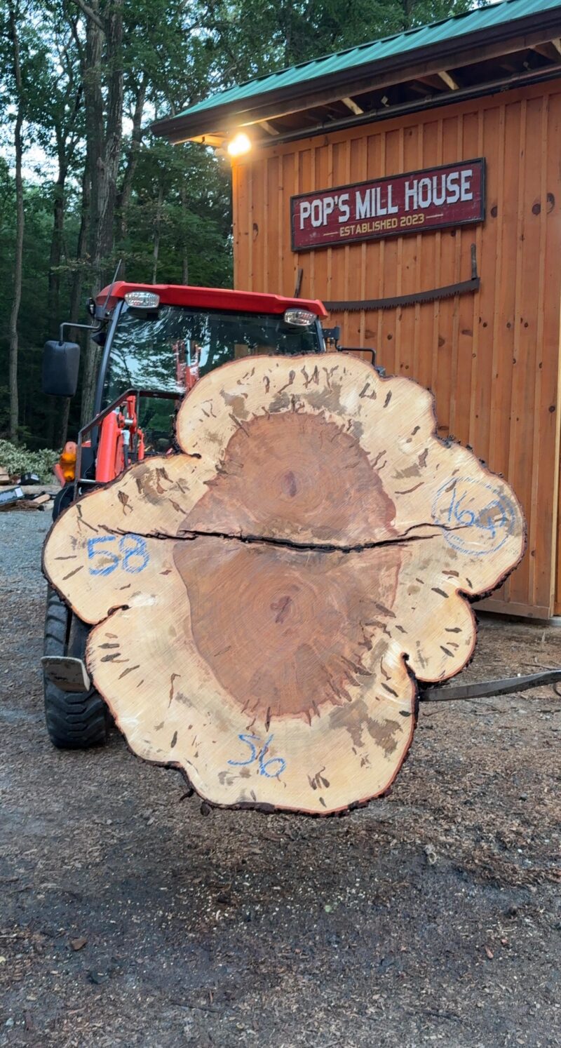 Ambrosia Maple Cookie — 56/58" dia, 4" thick