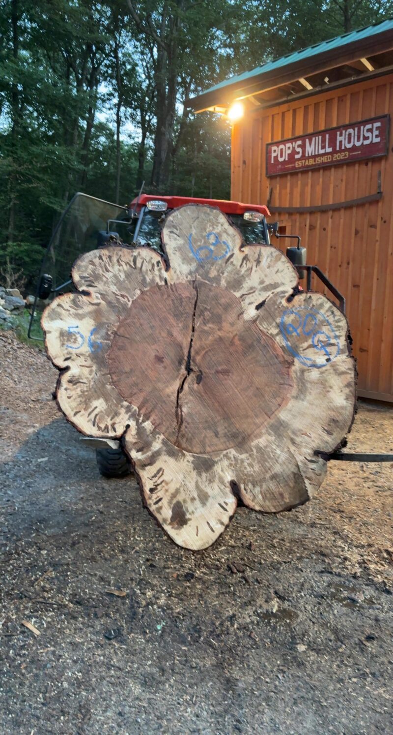 Ambrosia Maple — 63/56" dia, 5" thick