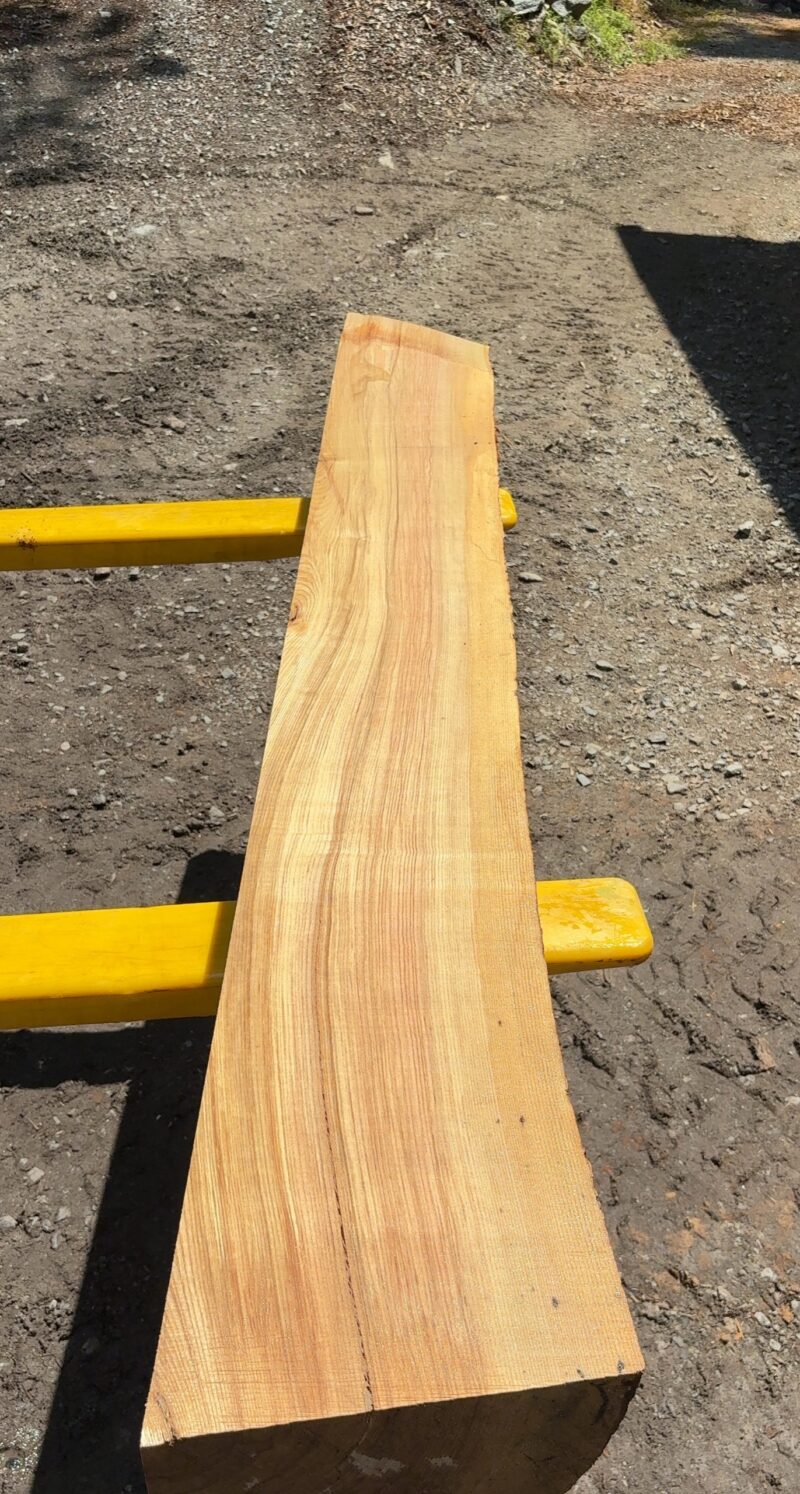 Ash Mantel Blank (green) — 89" × 11" (6" thick)