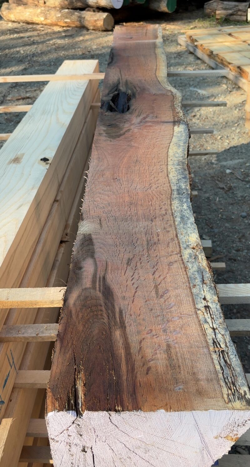 Red Oak Mantel Blank (green) — 104" × 9" (6" thick)