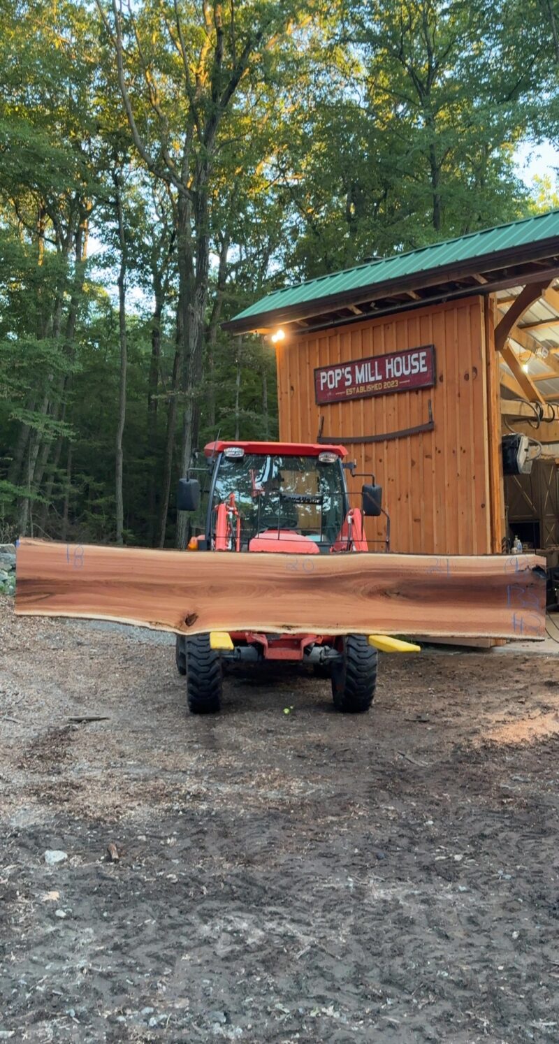 Red Oak Live-Edge Slab — 132" × 18–21" (2.25" thick)