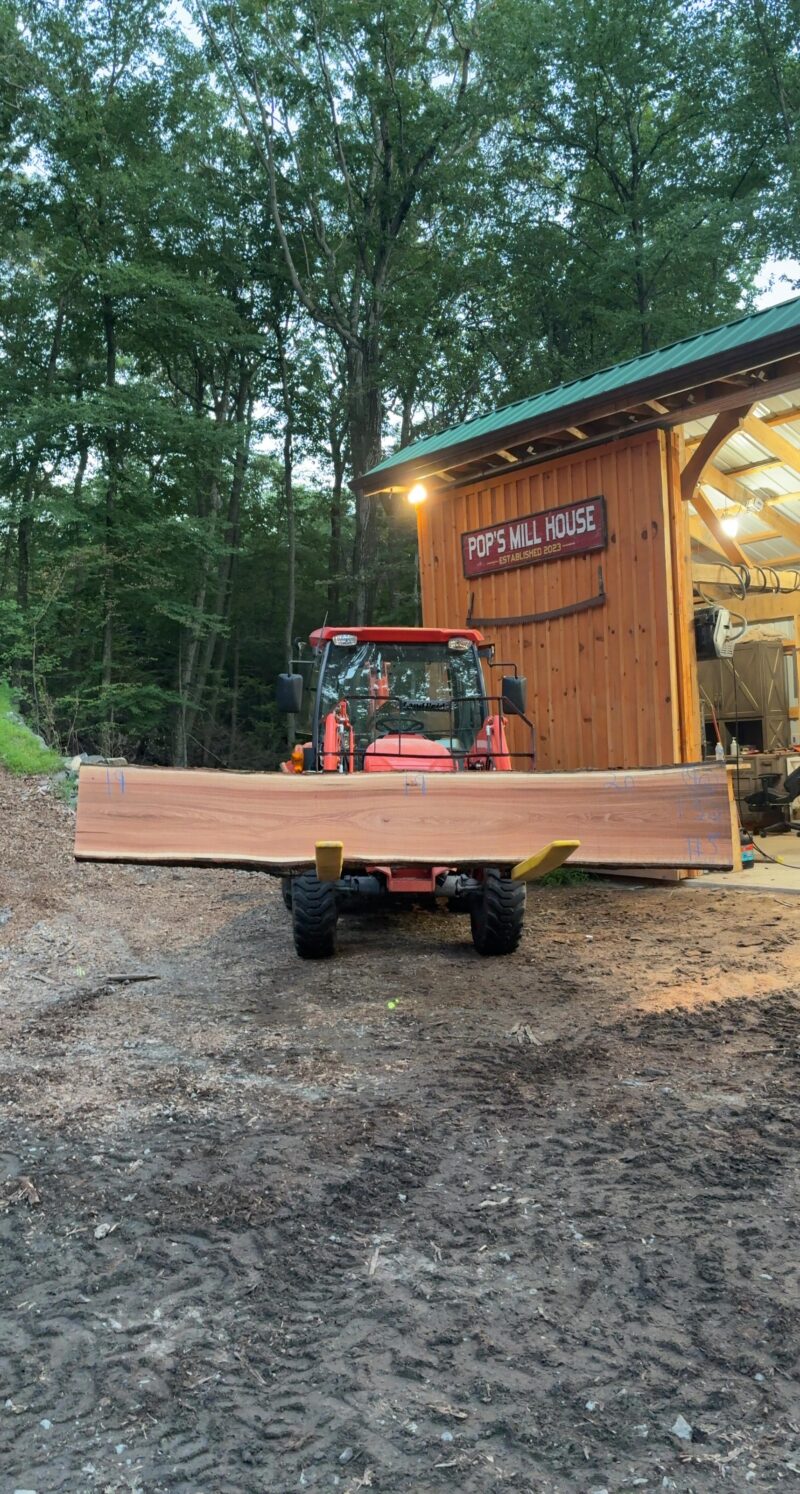 Red Oak Live-Edge Slab — 132" × 19–20" (2.25" thick)