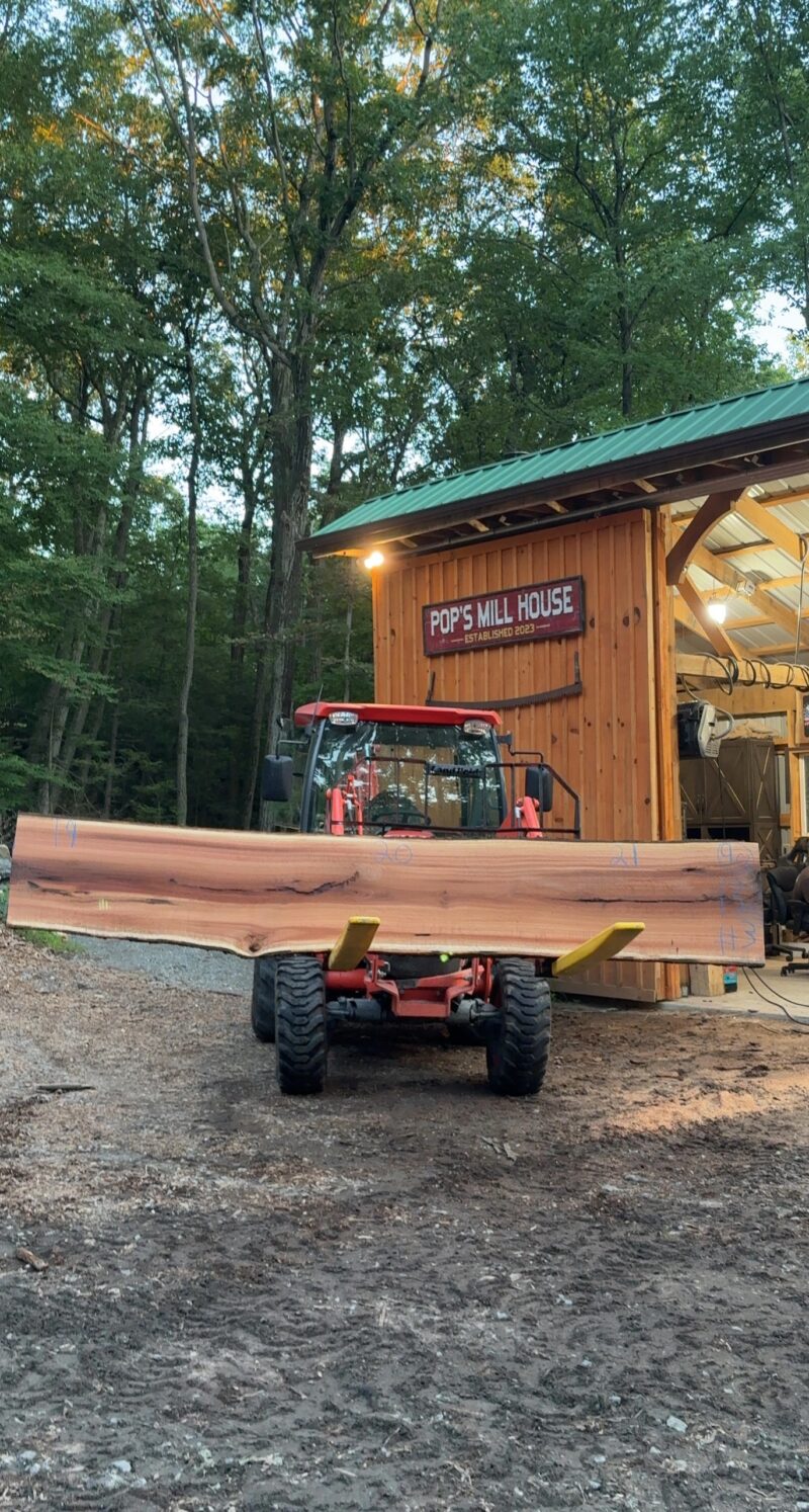 Red Oak Live-Edge Slab — 132" × 19–21" (2.25" thick)