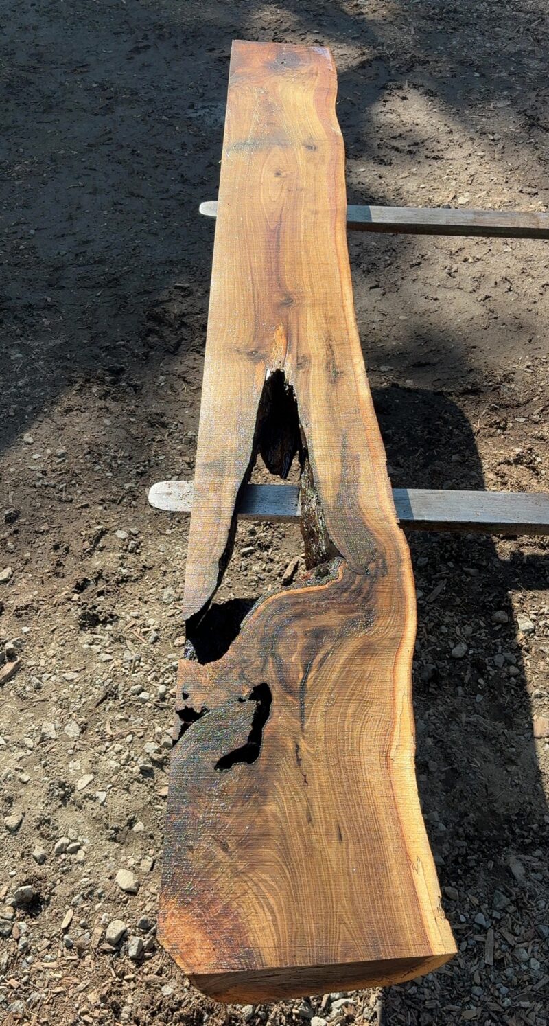 Walnut Mantel Blank (green) — 103" × 12" (5" thick)