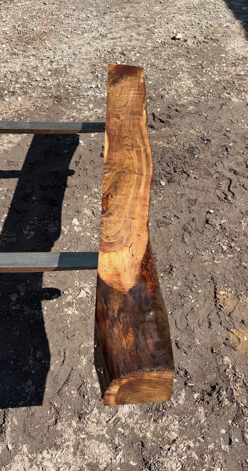 Walnut Mantel Blank (green) — 81" × 8" (5.5" thick)