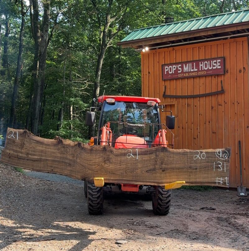 Walnut Live-Edge Slab — 131" × 20–21" (2.25" thick)