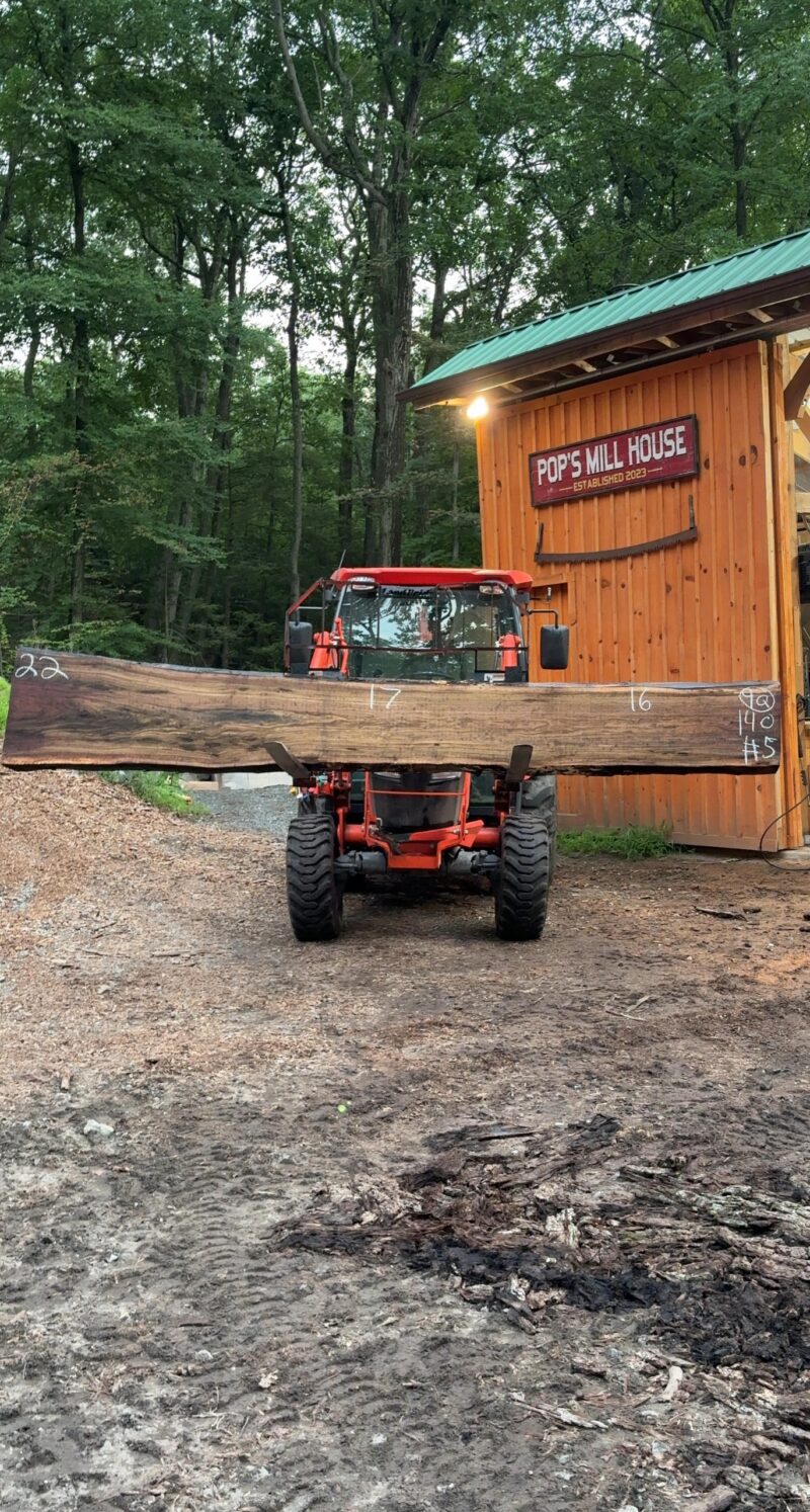 Walnut Live-Edge Slab — 140" × 16–22" (2.25" thick)
