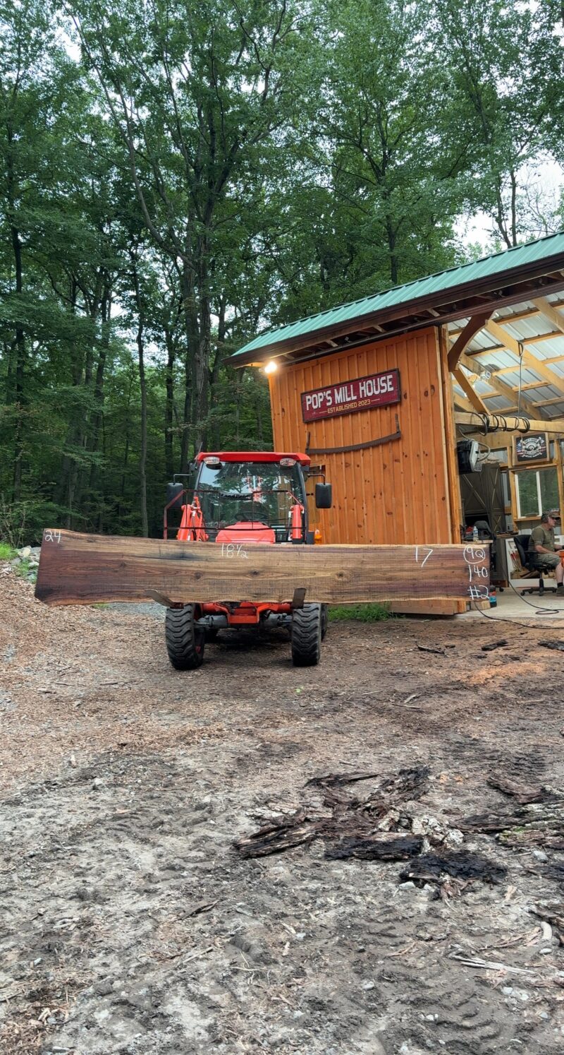 Walnut Live-Edge Slab — 140" × 17–24" (2.25" thick)