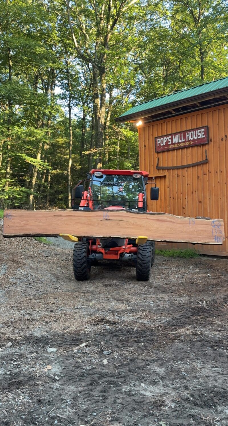 Red Oak Live-Edge Slab — 132" × 15–16" (1.25" thick)