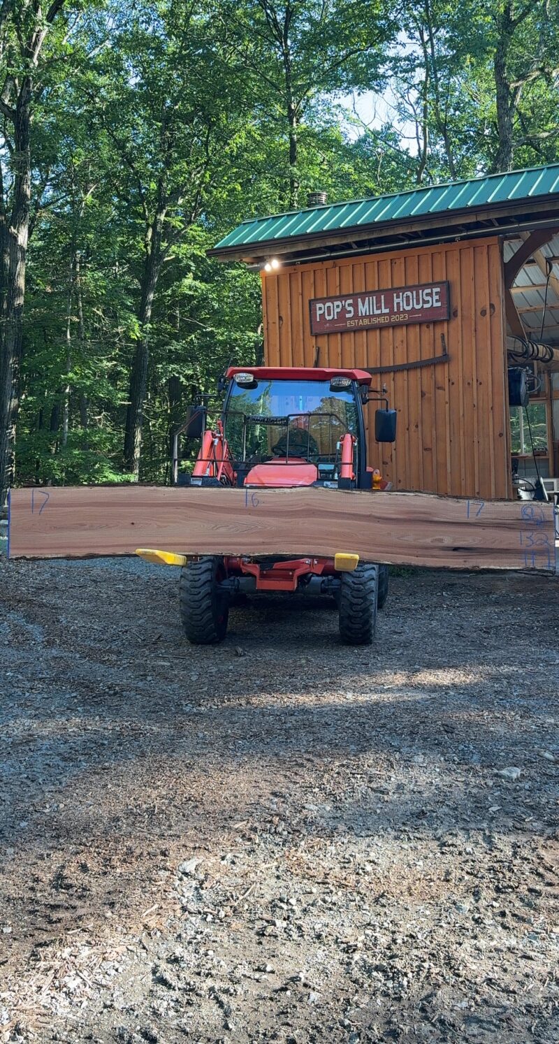 Red Oak Live-Edge Slab — 132" × 16–17" (2" thick)