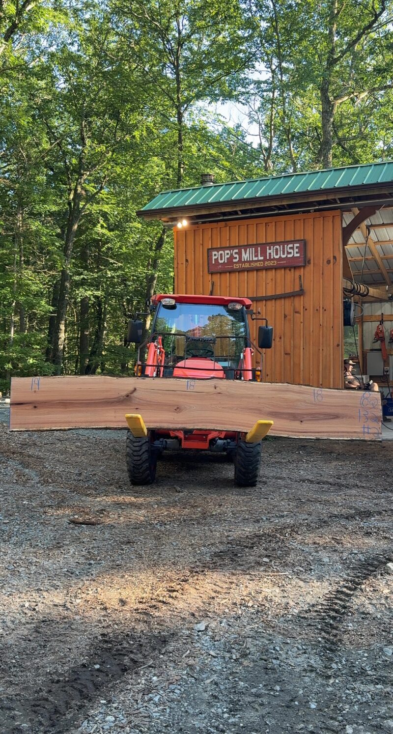 Red Oak Live-Edge Slab — 132" × 18–19" (2" thick)
