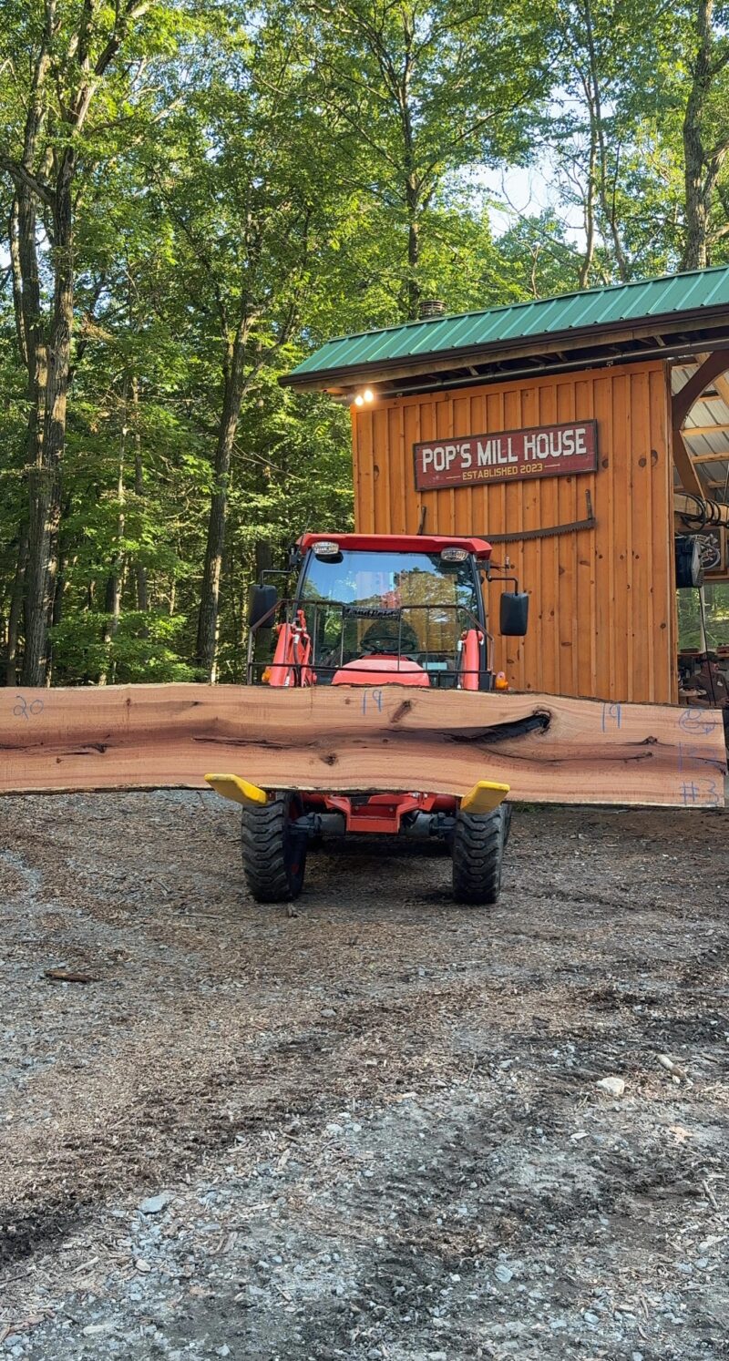Red Oak Live-Edge Slab — 132" × 19–20" (2" thick)
